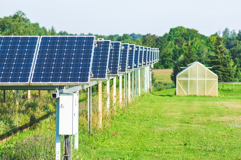 The Role of Green Grants in Nonprofit Solar Projects